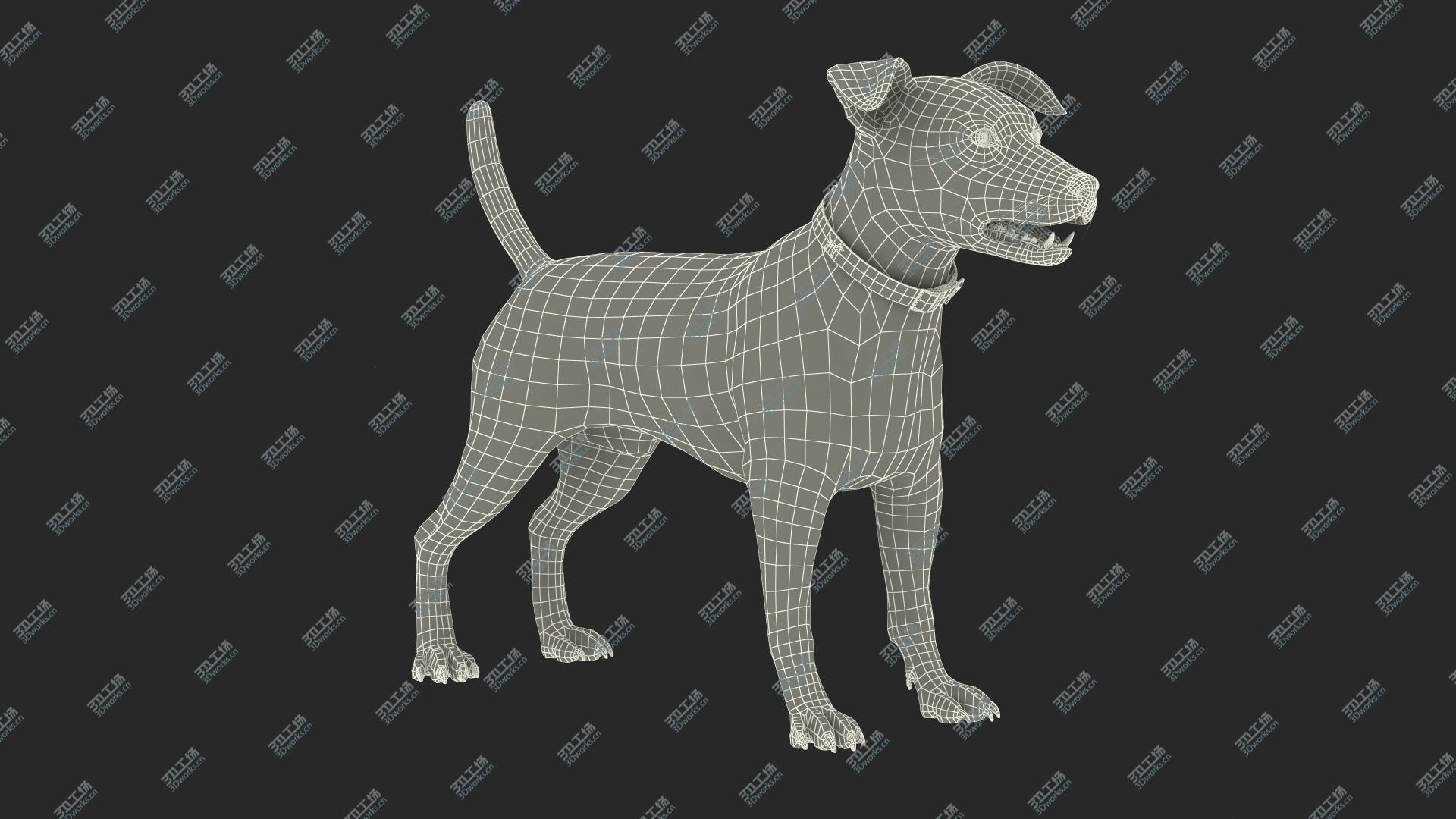 images/goods_img/202105071/3D model Spotted Jack Russell Terrier Fur Rigged/5.jpg